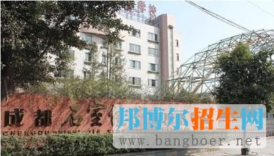 2017年石室佳興外語學校錄取分數線