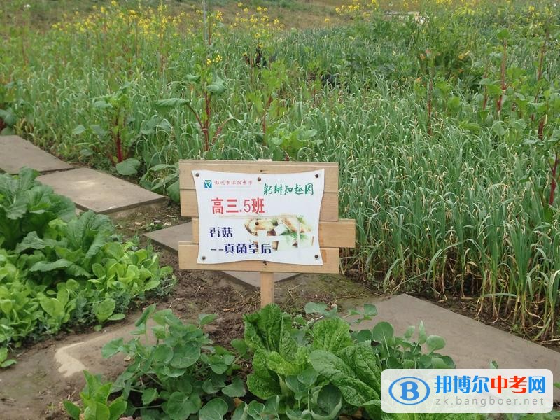 躬耕知趣園,一個趣味無窮的樂園