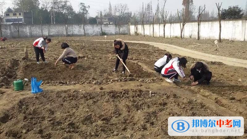 躬耕知趣園,一個趣味無窮的樂園