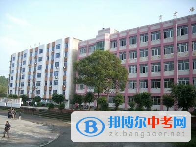 四川省資陽市安岳縣興隆中學(xué)2022年招生代碼