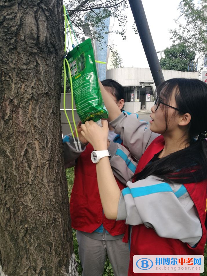 西南交通大學(xué)附屬中學(xué)開(kāi)展大手牽小手，共建綠色校園