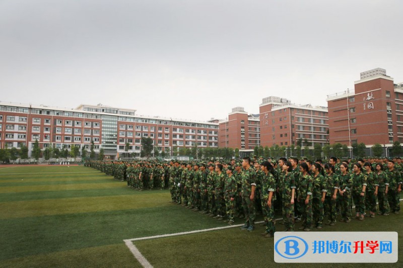 綿陽市東辰國際學校2017年招生計劃