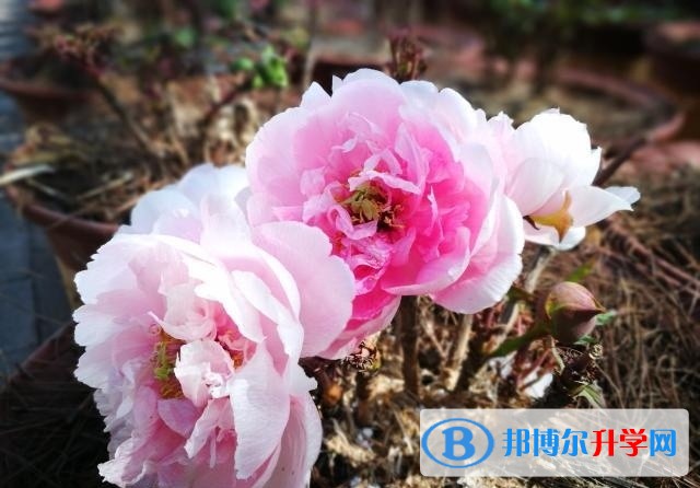 宣威市第六中學周邊景點