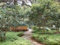 云南師大實(shí)驗(yàn)中學(xué)2025年招生代碼