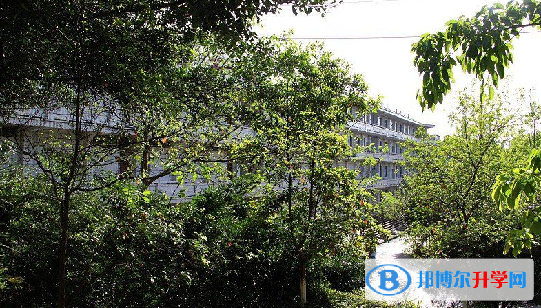 重慶市石柱縣西沱中學(xué)校招生代碼