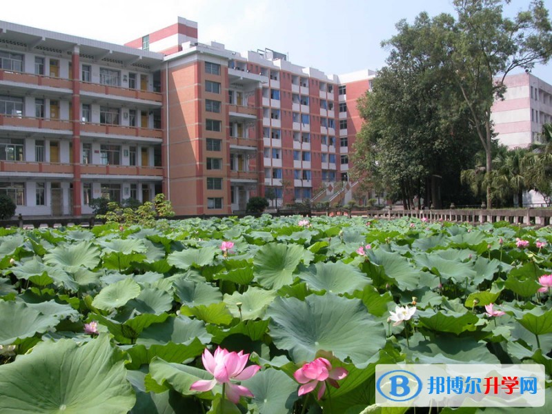 重慶市大足中學怎么樣、好嗎