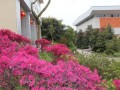 重慶市萬州區(qū)純陽實(shí)驗(yàn)學(xué)校2025年招生代碼