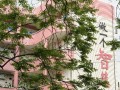 重慶市綦江縣中學(xué)2023年招生錄取分?jǐn)?shù)線(xiàn)