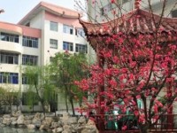 崇州市蜀城中學(xué)2023年招生錄取分數(shù)線