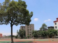 四川省廣漢市第六中學(xué)2025年招生計(jì)劃