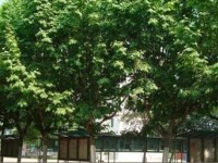 四川省瀘州高級中學(xué)2022年招生錄取分?jǐn)?shù)線