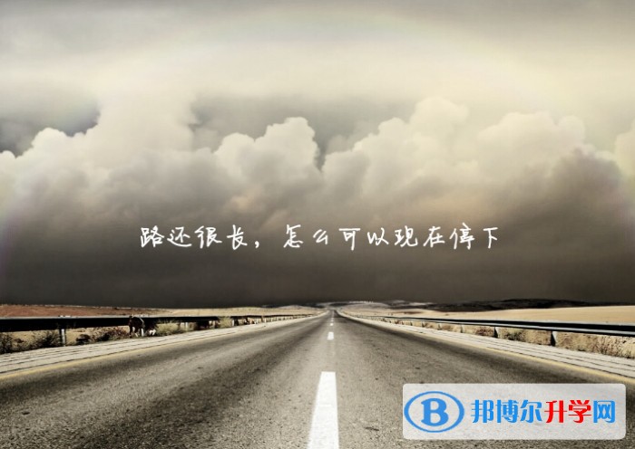 西安教育網中考查詢