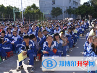 楚雄州永仁縣永仁一中2023年招生錄取分?jǐn)?shù)線