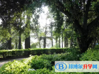 富寧縣一中2023年招生錄取分數線