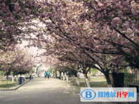 成都大彎中學(xué)2025年學(xué)費(fèi)、收費(fèi)多少