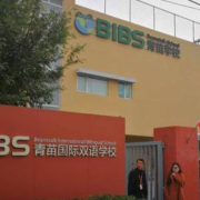 昆明呈貢青苗國際雙語學校小學部