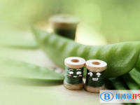2020年達州中考網(wǎng)絡(luò)應(yīng)用服務(wù)平臺成績查詢
