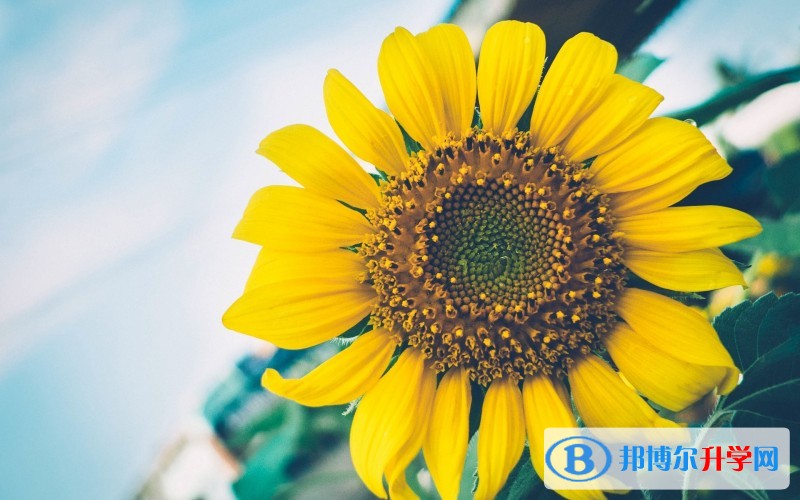 達(dá)州中考線預(yù)測(cè)