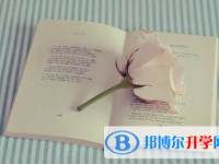 2020年達州中考第一排怎么作弊