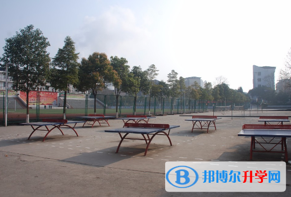 內11