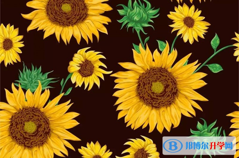 2020年自貢中考成績(jī)?cè)谀睦锊樵? width=