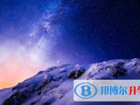 2020年自貢中考查詢網(wǎng)