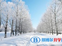 2020年自貢中考查詢網(wǎng)址