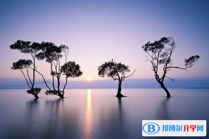 2020年眉山中考志愿填報技巧
