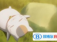 2020年眉山中考錄取報名網