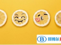2020年眉山中考查詢網(wǎng)