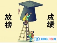2020年眉山如何查詢中考錄取結果