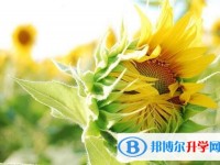 2020年樂山中考報名系統(tǒng)網(wǎng)址