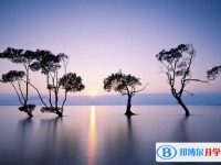 2020年樂山中考報名網(wǎng)址