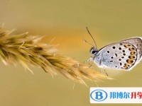2020年樂山中考報名網(wǎng)站是什么