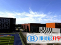 北京朝陽凱文學校藝術高中2023年招生計劃