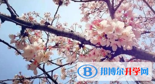 合肥新華公學怎么樣、好不好