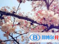 合肥新華公學怎么樣、好不好