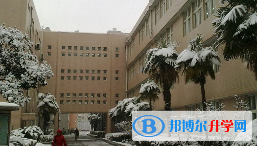 上海外國語大學附屬外國語學校網(wǎng)站網(wǎng)址 