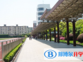 上海交通大學(xué)附屬中學(xué)國際部2023年招生計劃