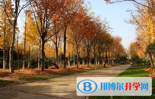 上海師范大學天華學院國際高中網站網址 