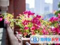 執信中學國際部怎么樣、好不好