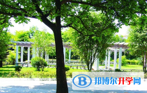城市綠洲國際學校2023年報名條件、招生要求、招生對象