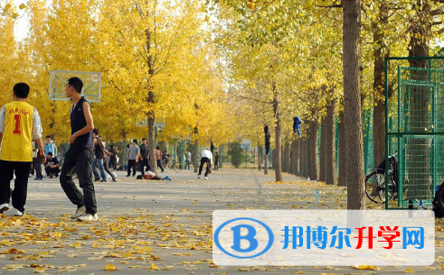 城市綠洲國際學校2023年招生辦聯(lián)系電話
