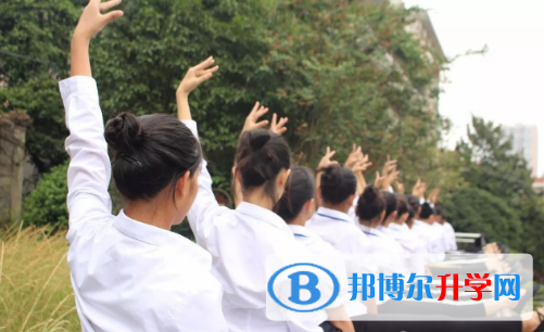 深圳哈博學校2023年報名條件、招生要求、招生對象