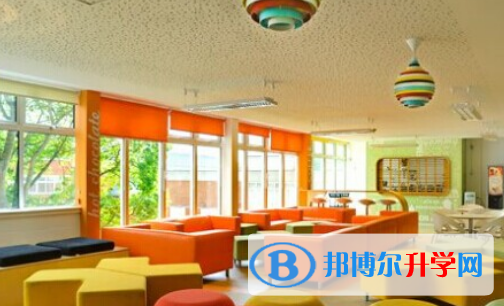 深圳哈博學(xué)校2023年招生辦聯(lián)系電話(huà)
