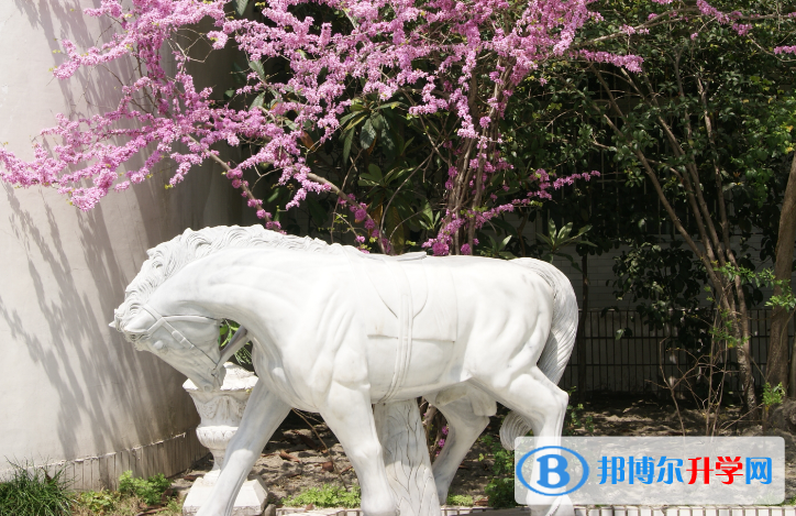 杭州國泰外語藝術(shù)學(xué)校初中部怎么樣、好不好