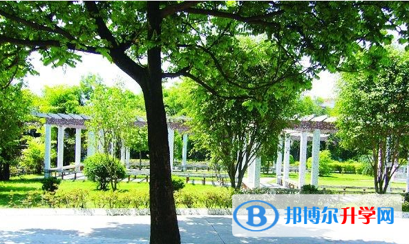 青島MTI國際學校(ISQ)初中部2020年學費、收費多少