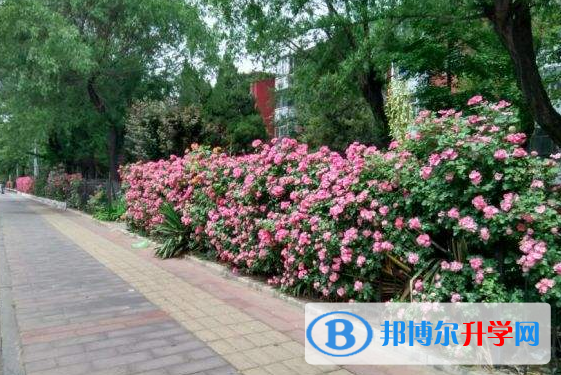 南通士通國(guó)際學(xué)校初中部怎么樣、好不好