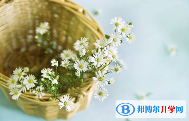 2020安順中考重點線預測