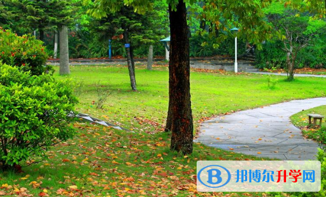 安陽新坐標(biāo)國際學(xué)校2020年報名條件、招生要求、招生對象